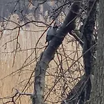 Sloneczna Zatoka * Sila
