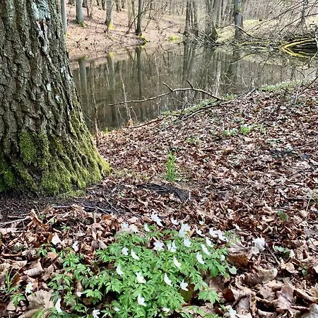 Sloneczna Zatoka * Sila