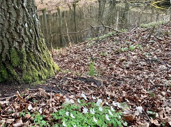 Sloneczna Zatoka * Sila