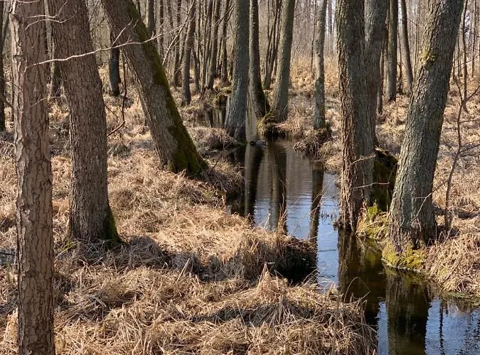 Apartment Sloneczna Zatoka *