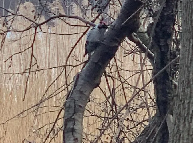 Sloneczna Zatoka * Sila