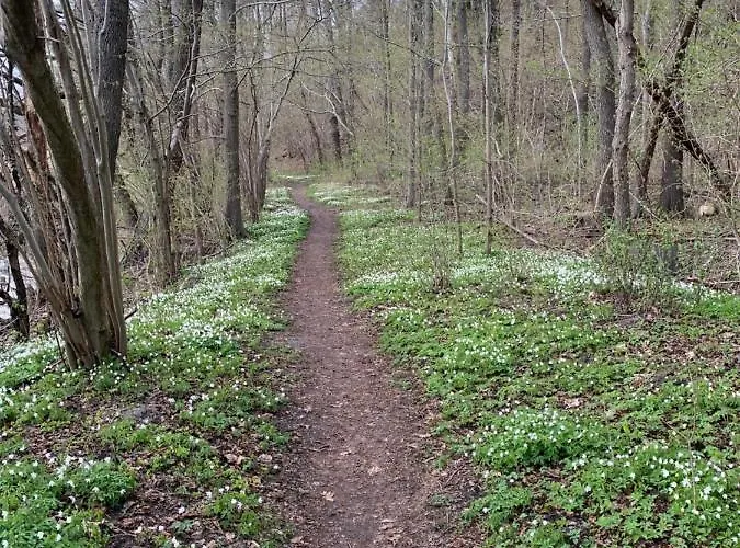 Sloneczna Zatoka Apartment *